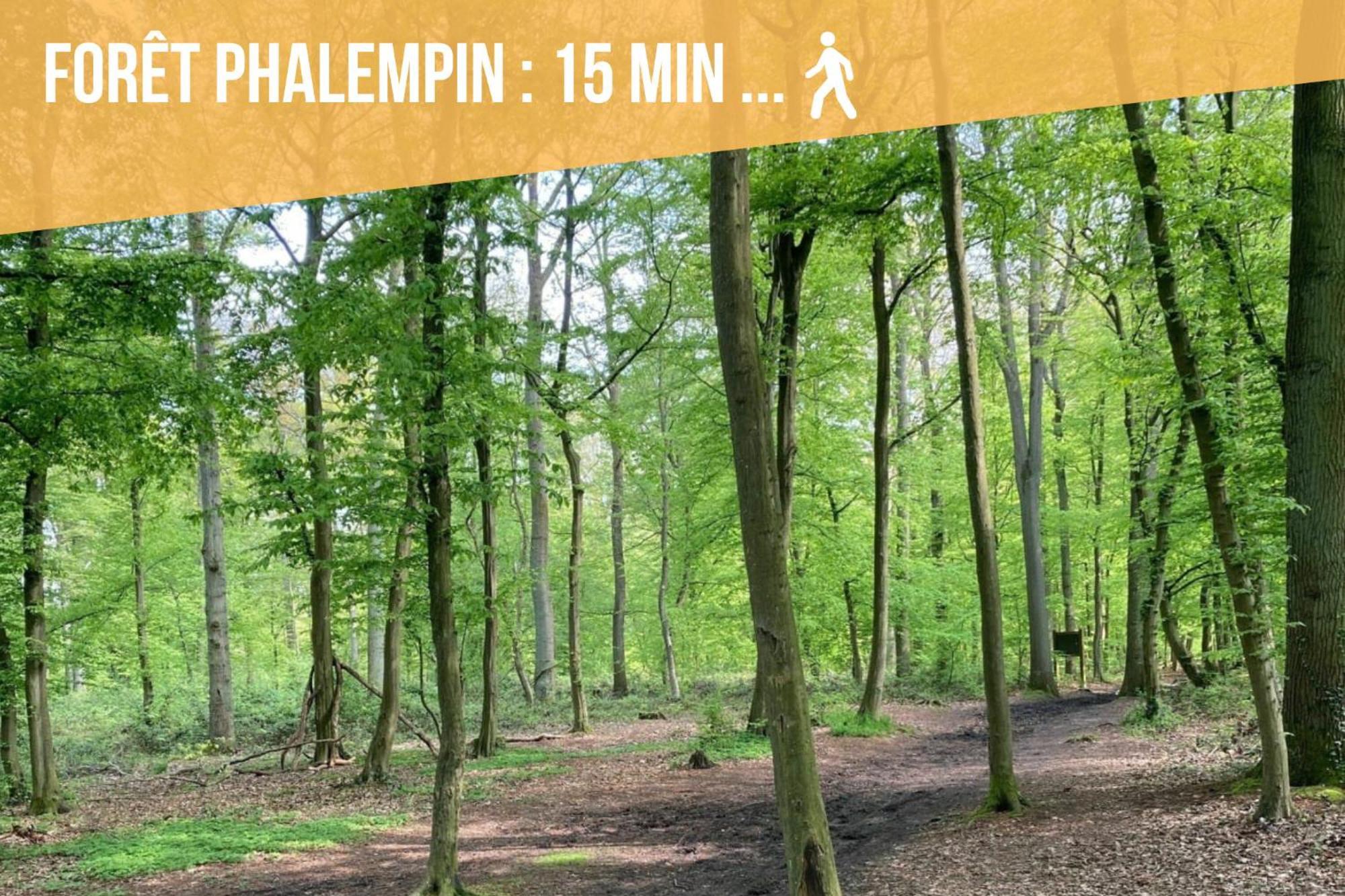 Gite Le Duplex - 5Min De La Gare Vers Lille-Lens-Arras Phalempin Eksteriør billede